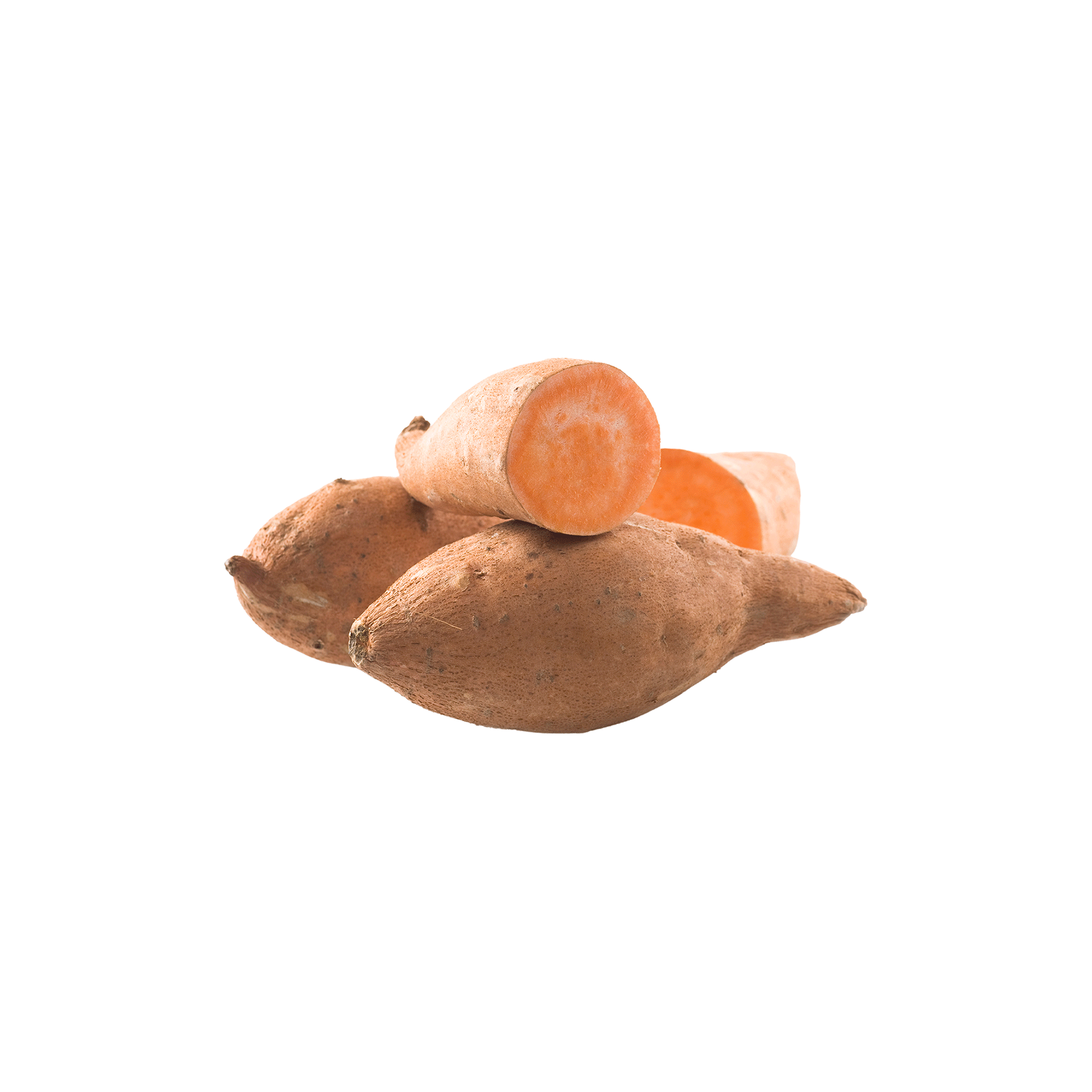 Kibble